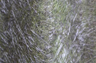 Newton Longville fibreglass roof work